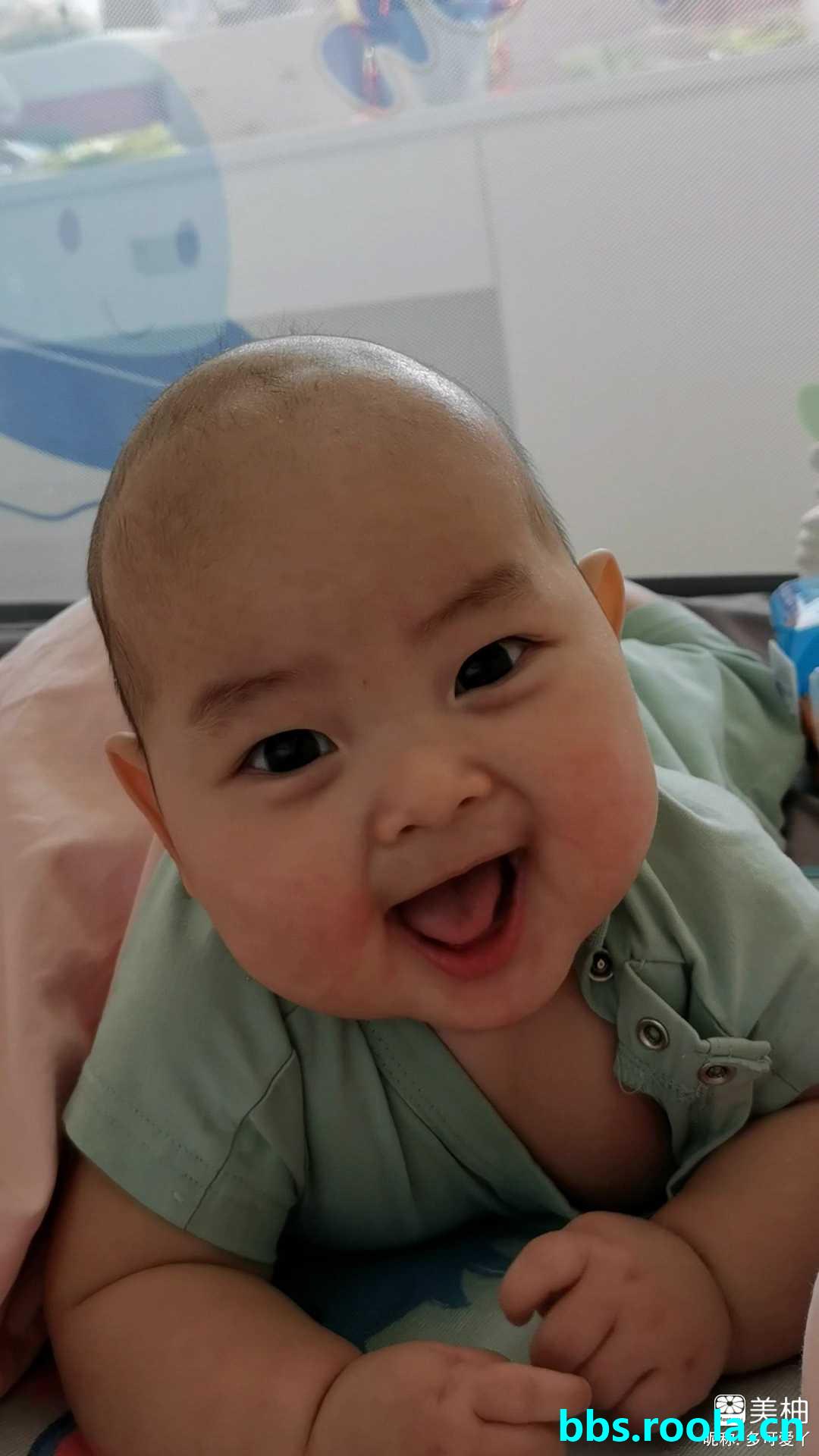 21019.jpg