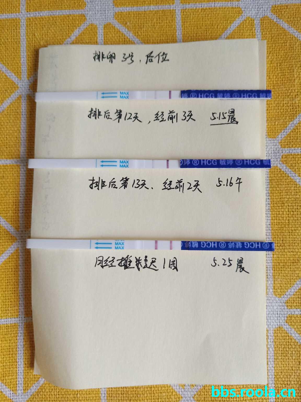 22379.jpg