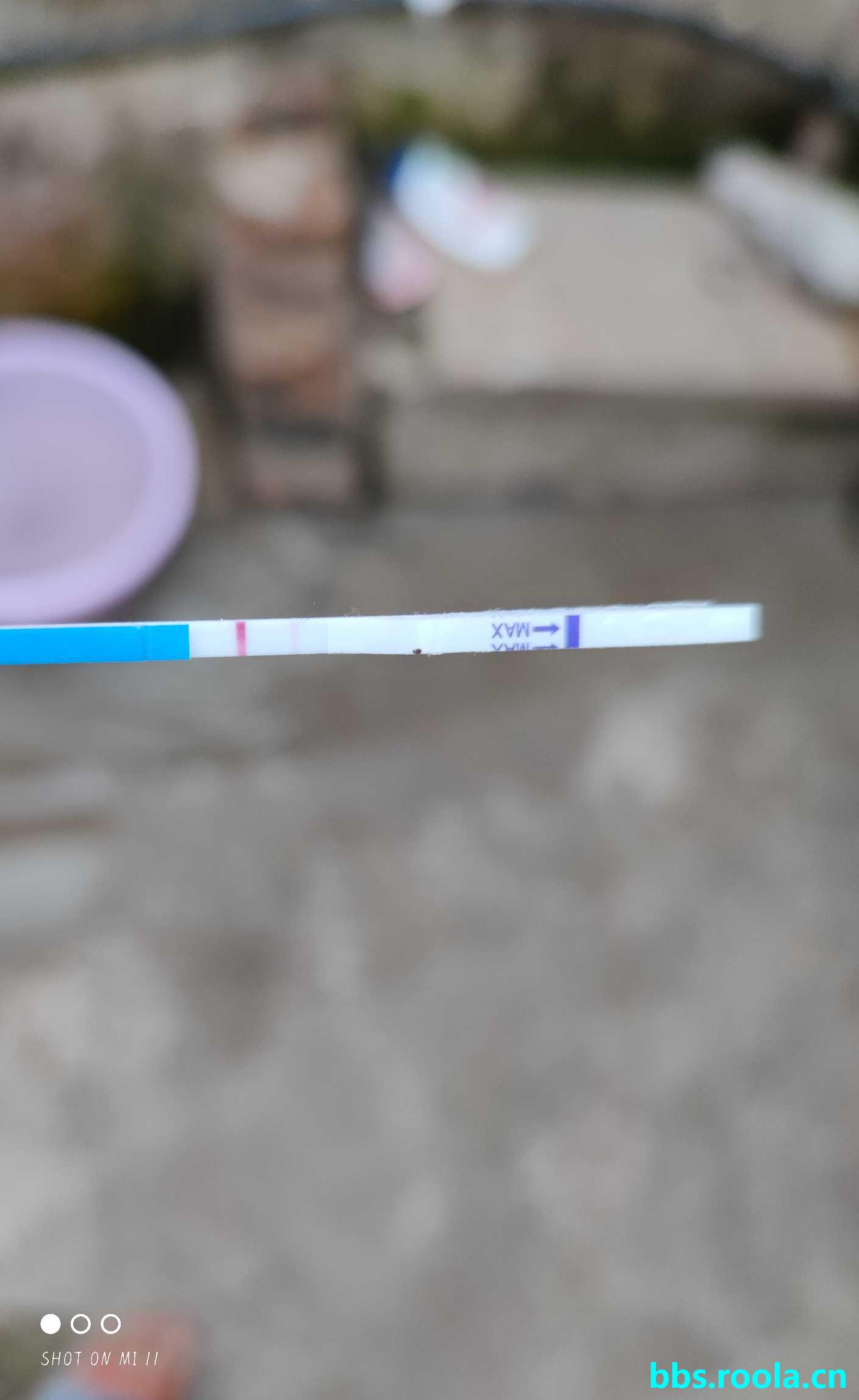 22402.jpg