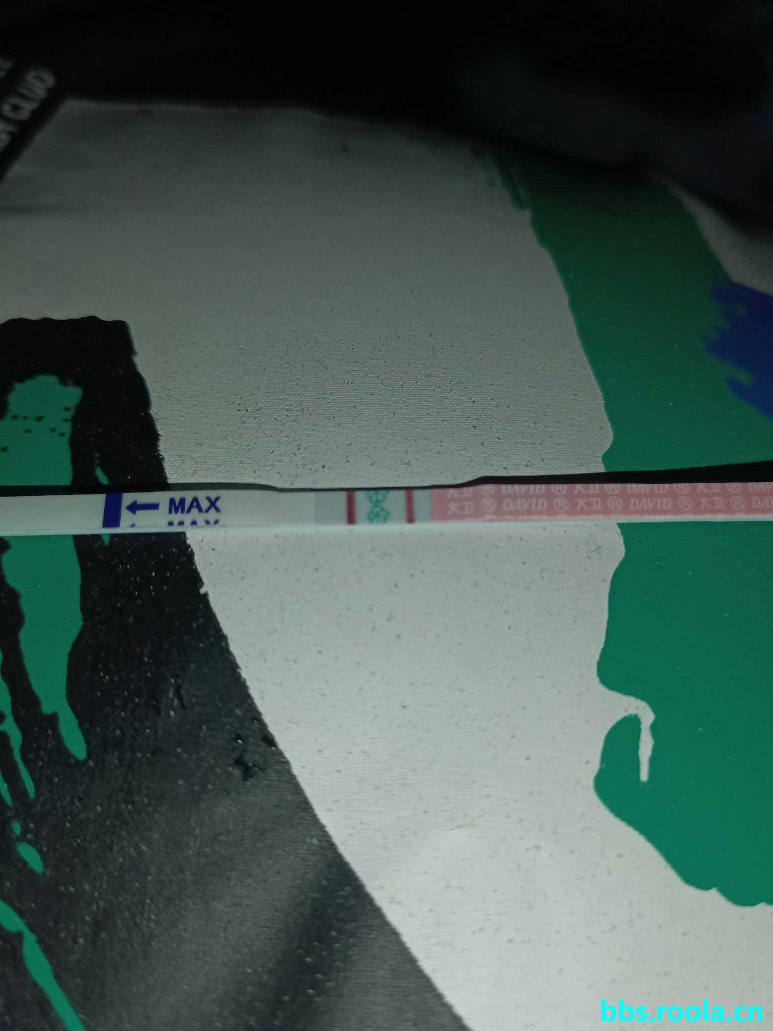 22437.jpg