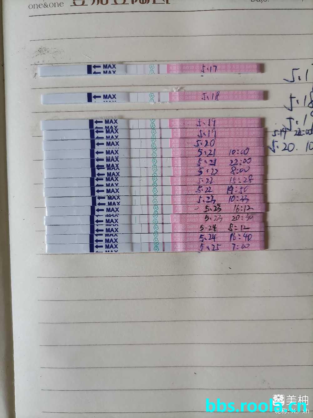 22678.jpg