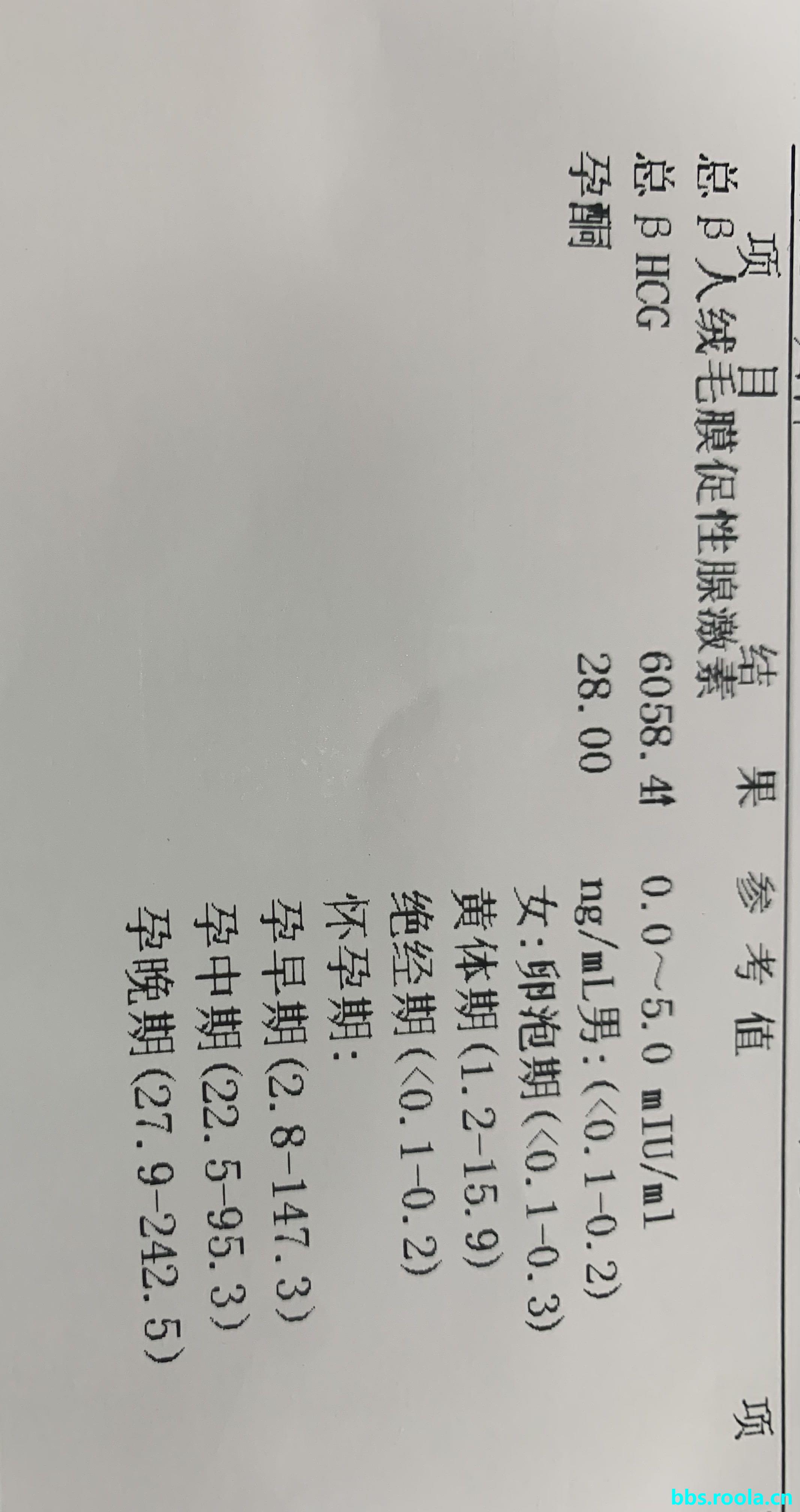 22732.jpg