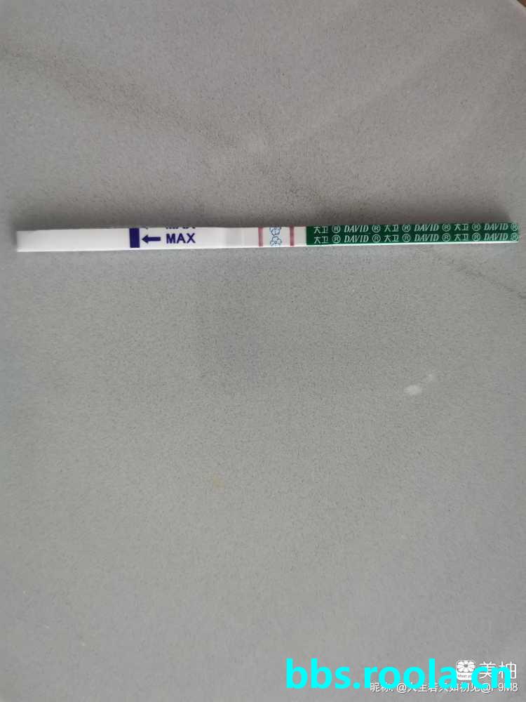23315.jpg