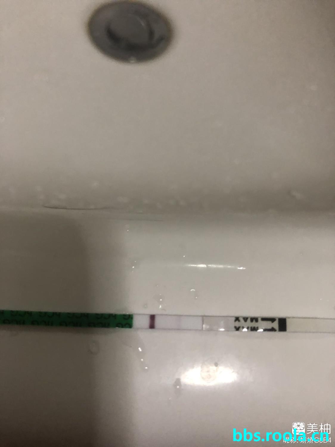 22802.jpg