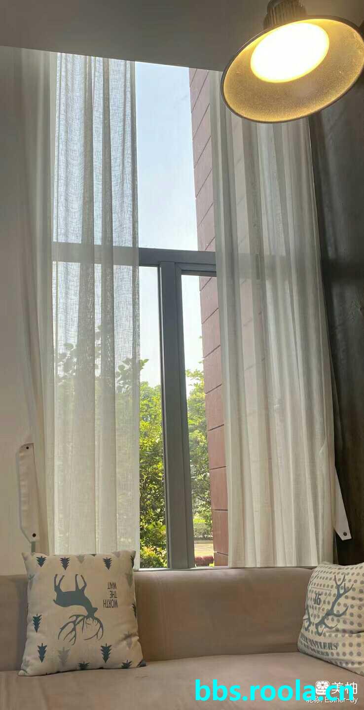 23428.jpg
