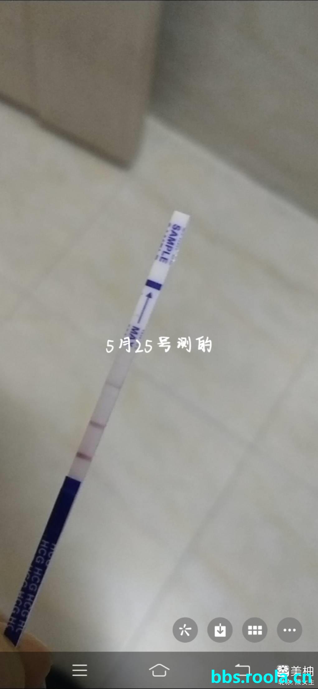 23022.jpg