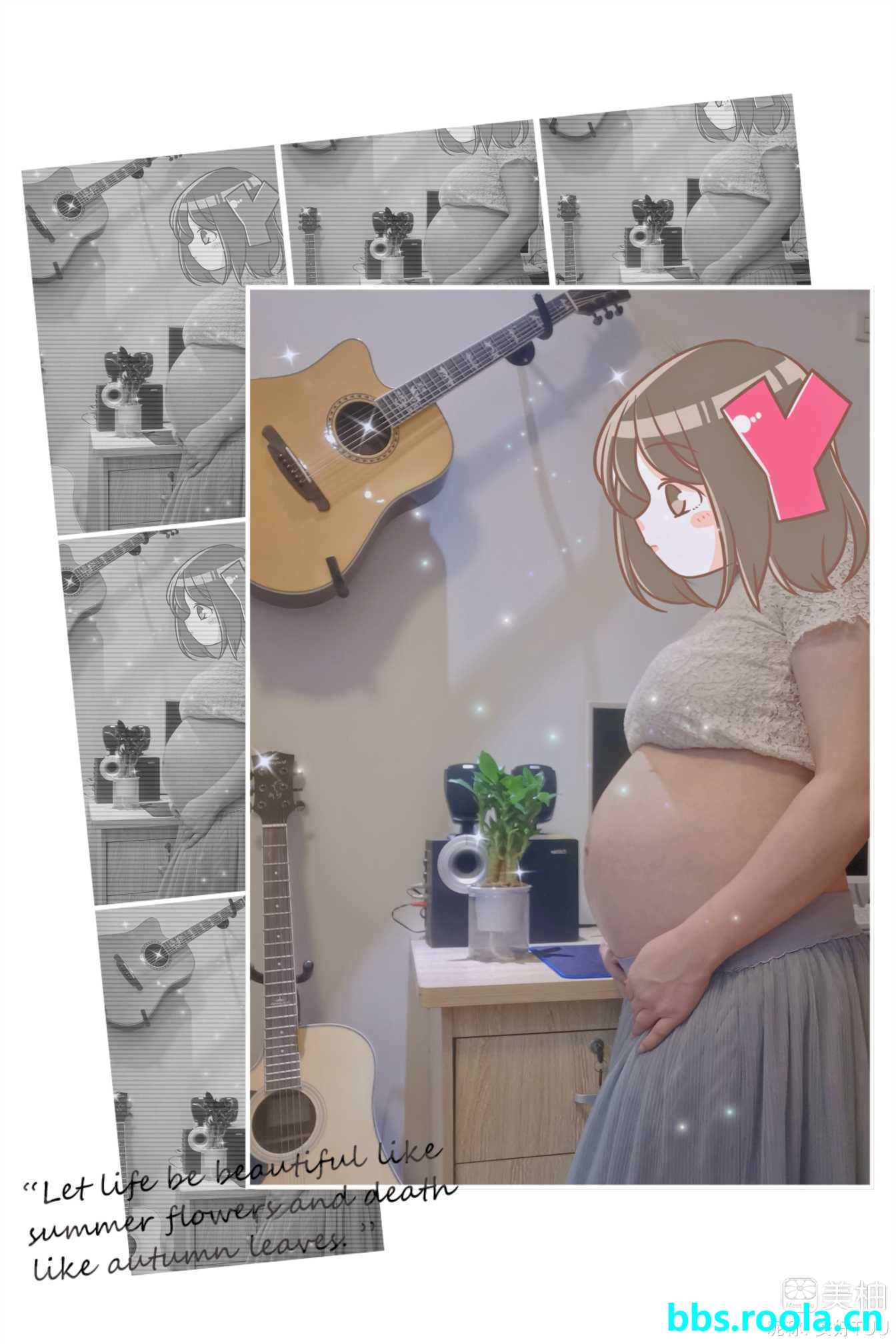 23762.jpg