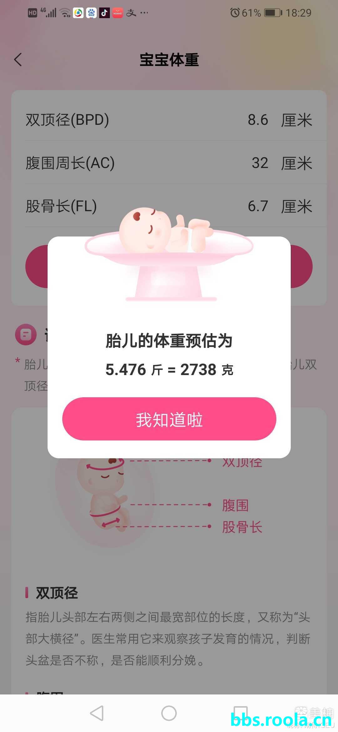 2046.jpg