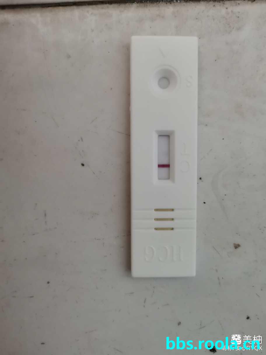 2537.jpg