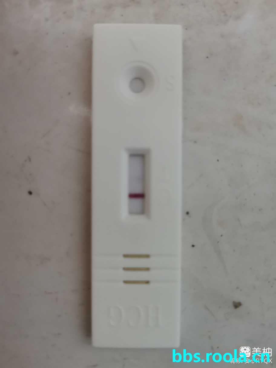 2538.jpg