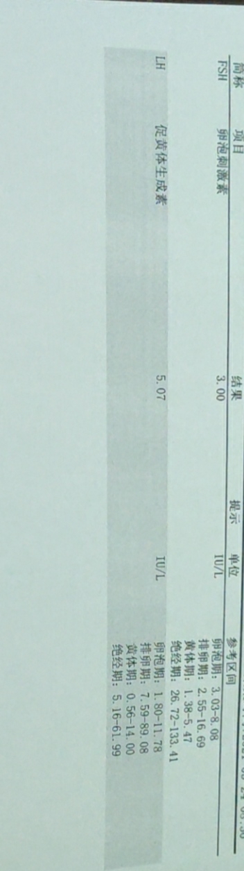 2539.jpg