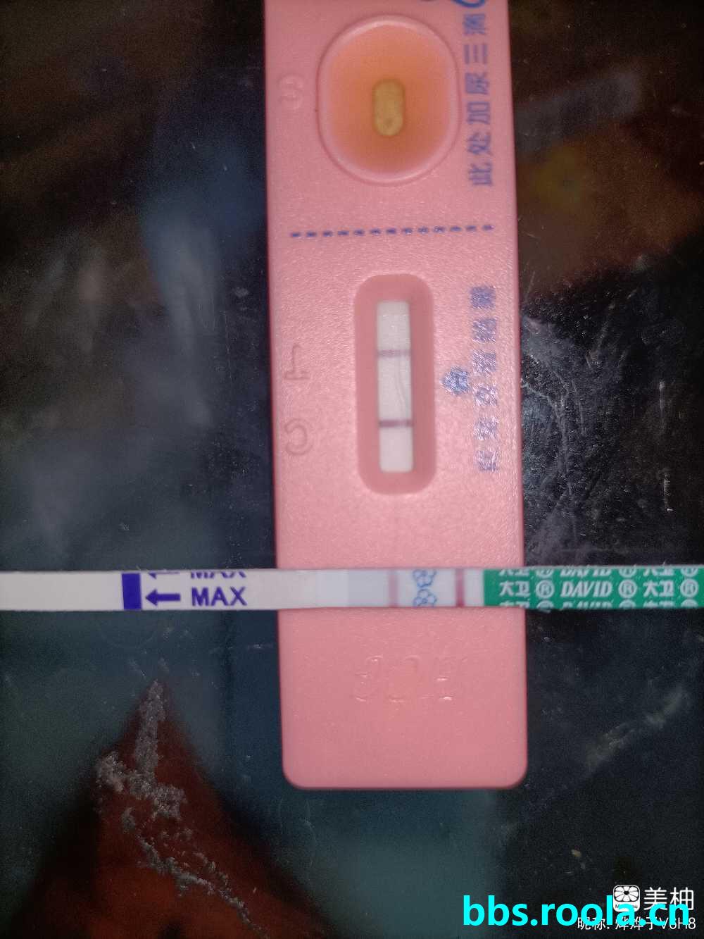 2145.jpg