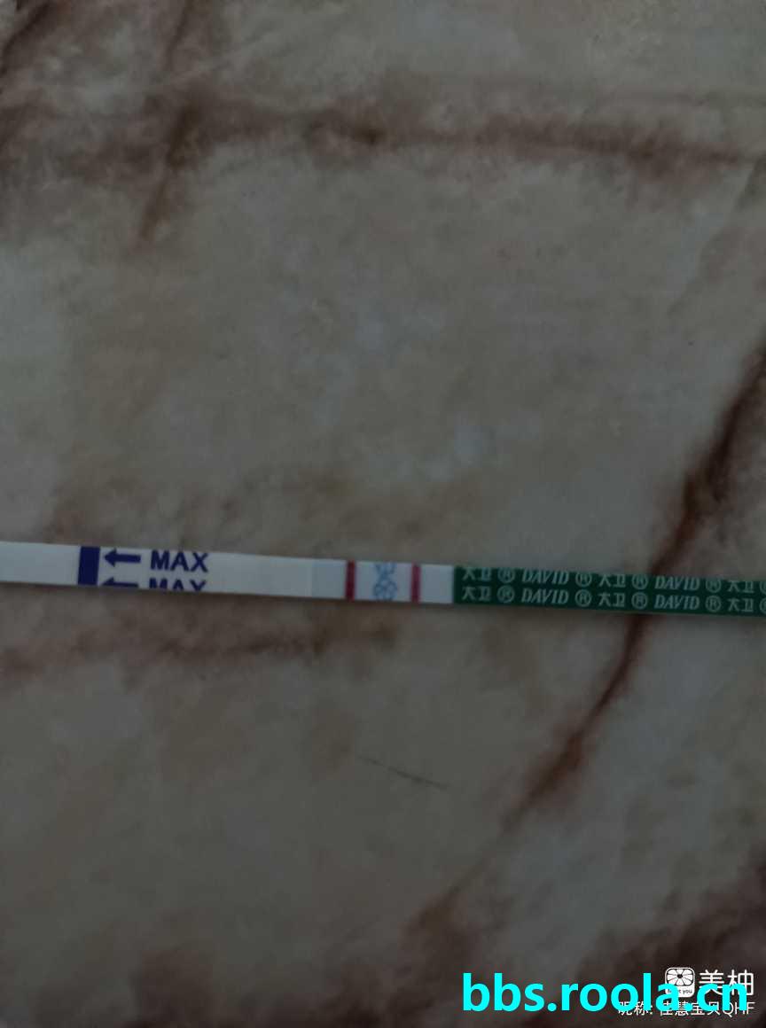 2255.jpg