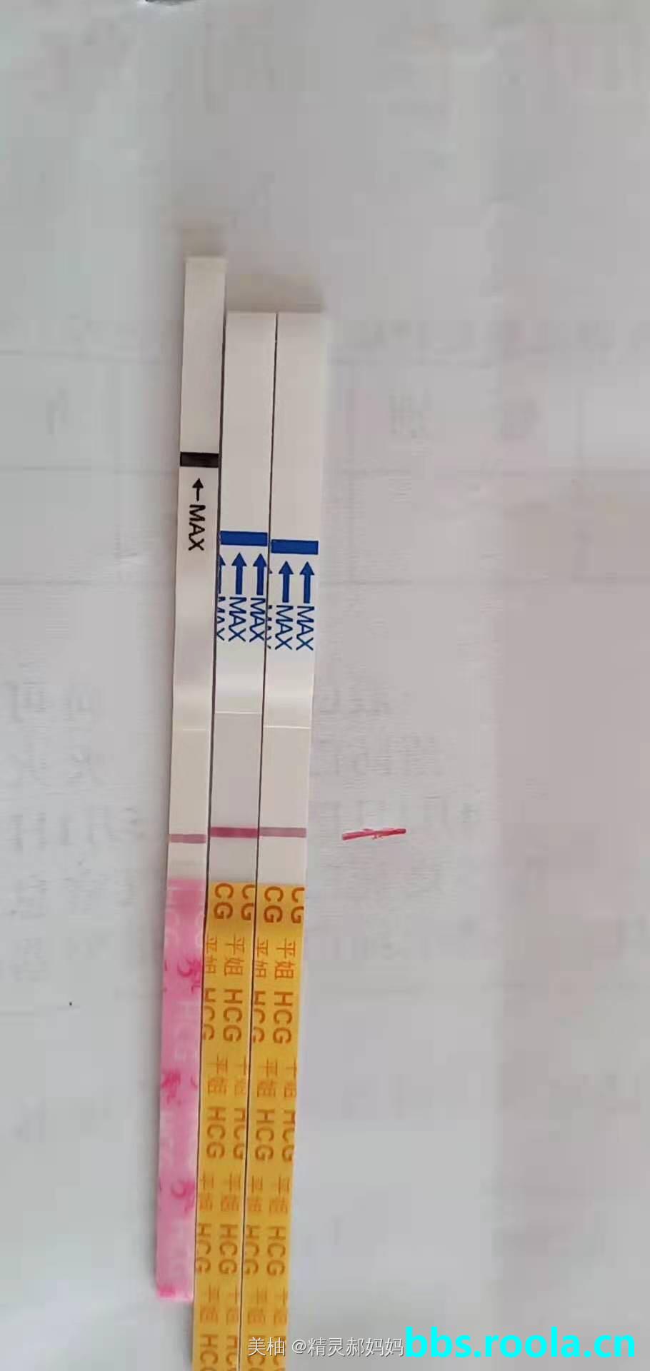 2863.jpg