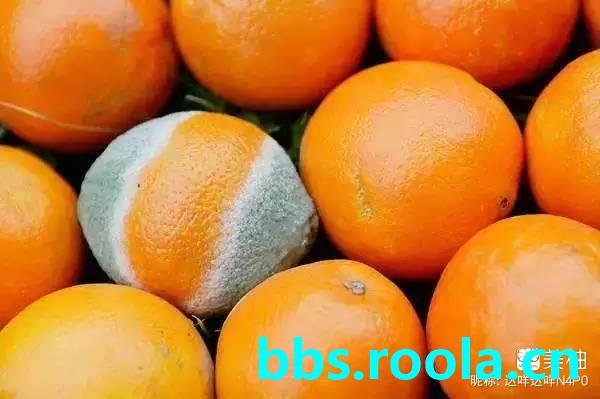 3006.jpg