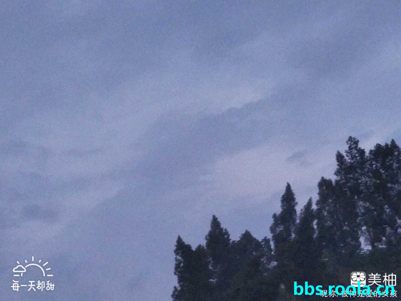 5178.jpg