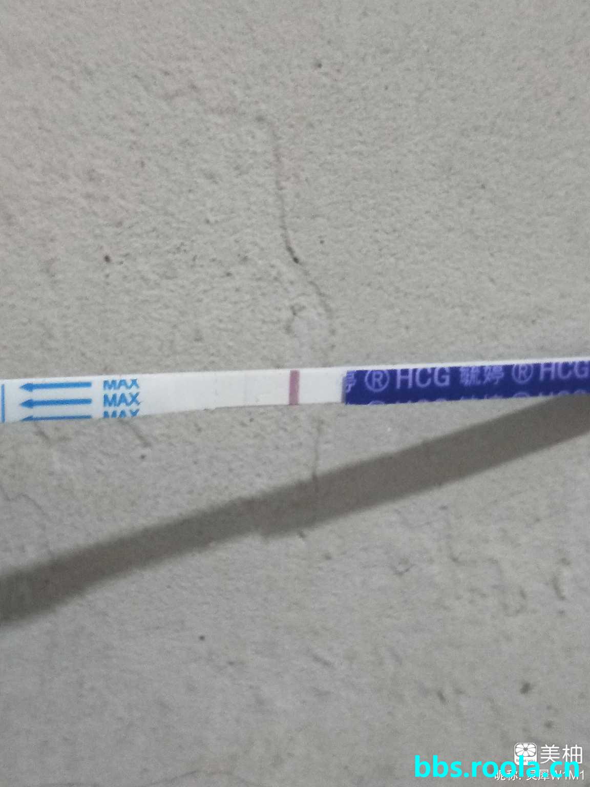 5173.jpg