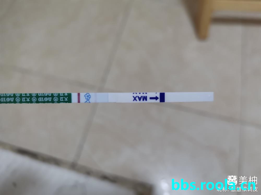5209.jpg