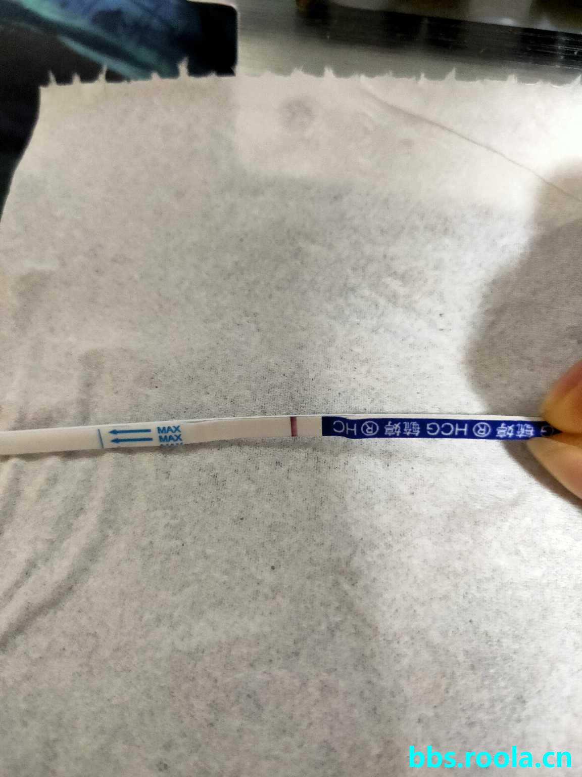 5289.jpg