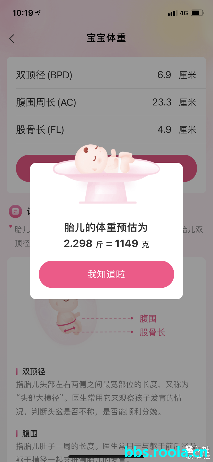 5304.jpg