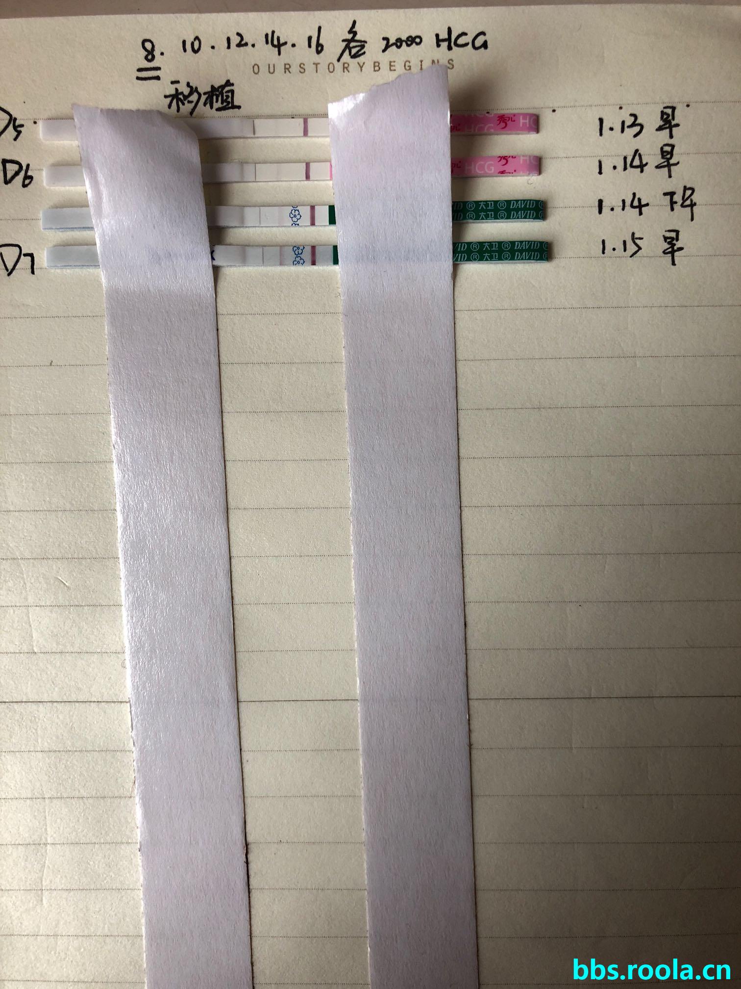 5314.jpg