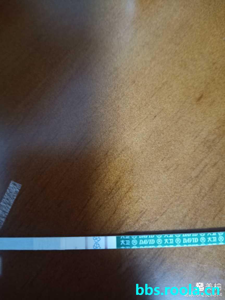 7956.jpg