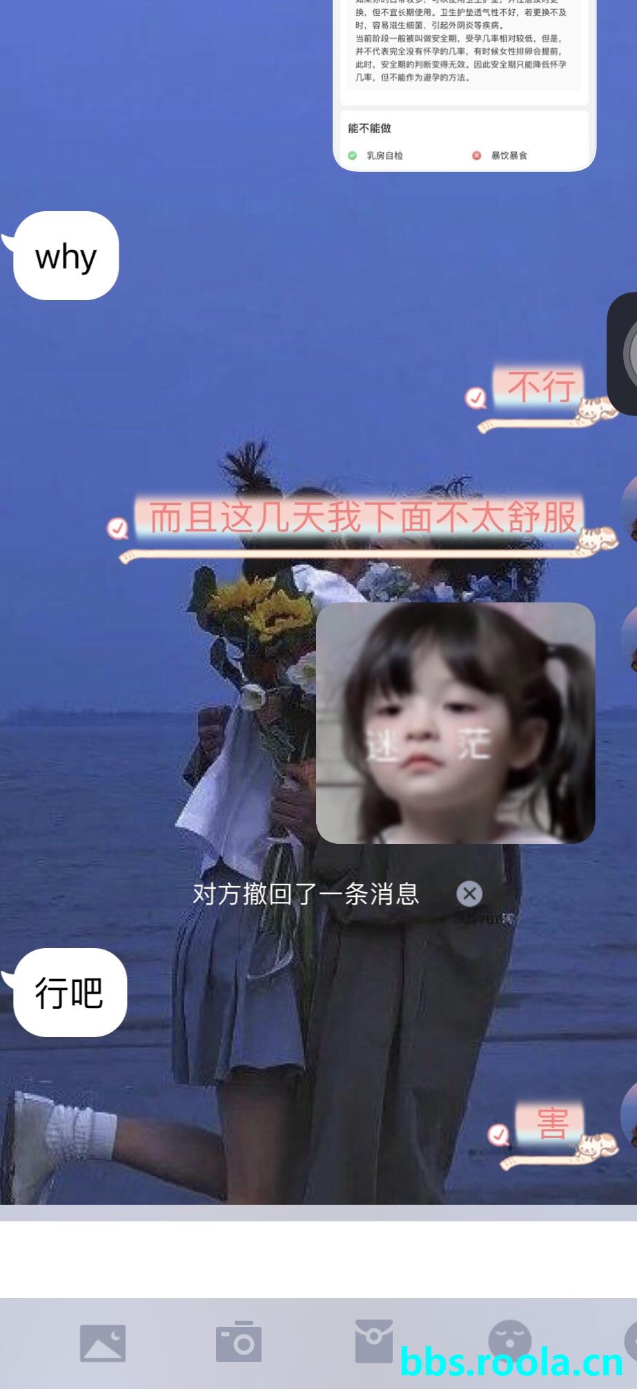 8126.jpg