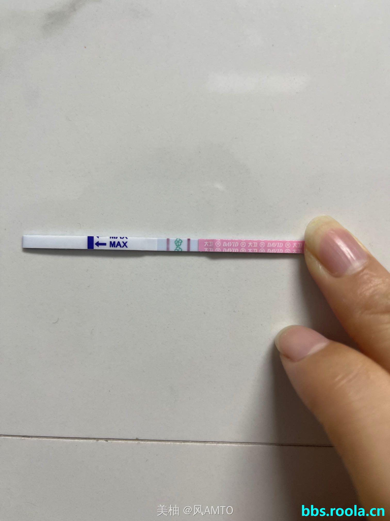 8231.jpg