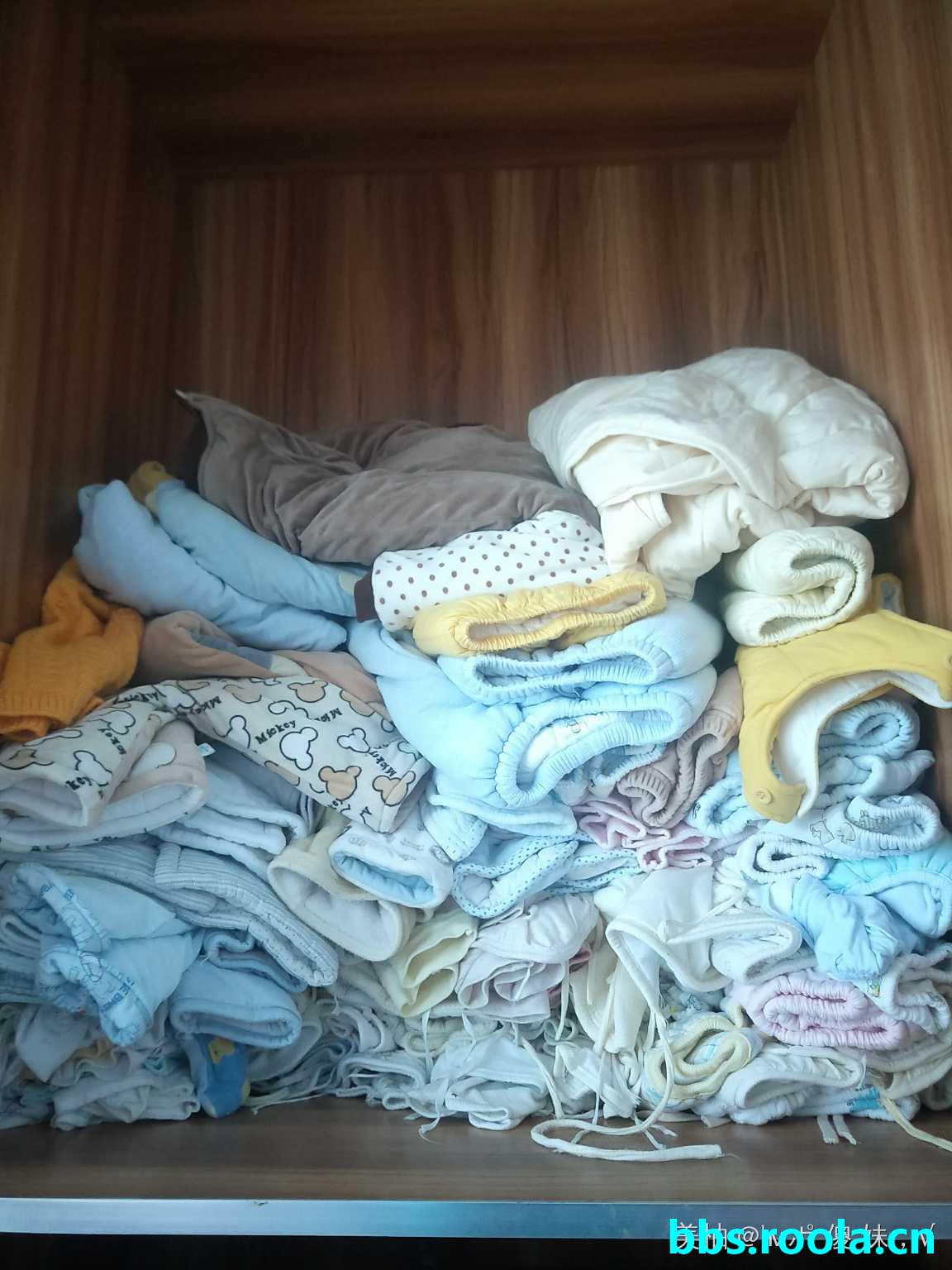 8297.jpg