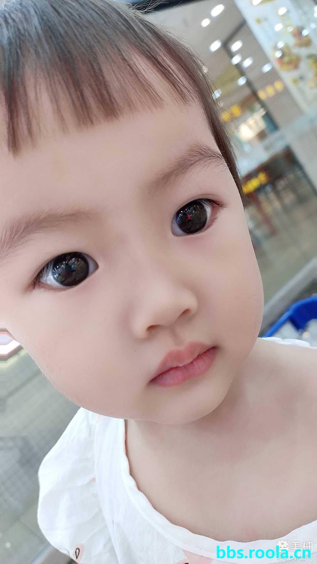 8675.jpg