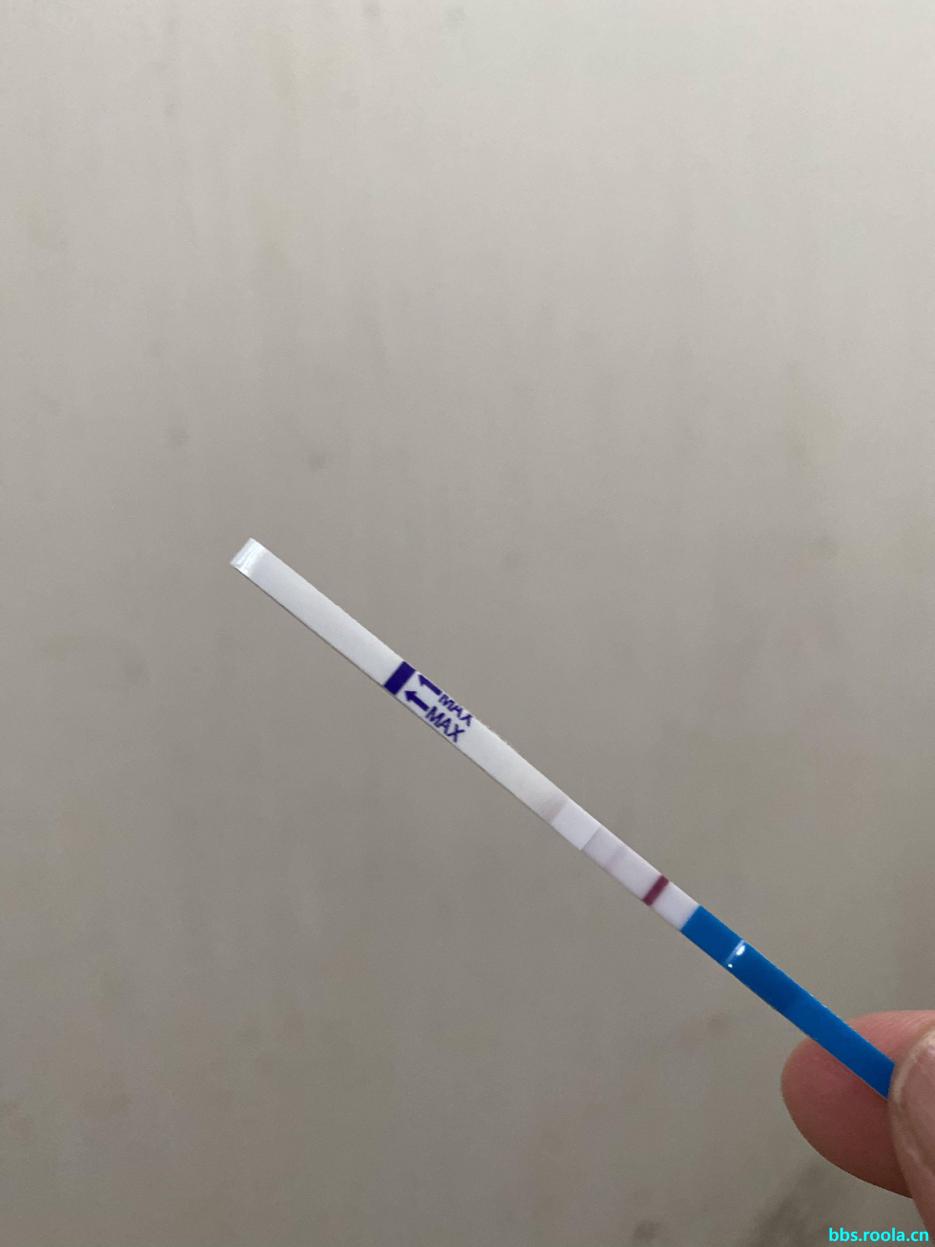 8838.jpg