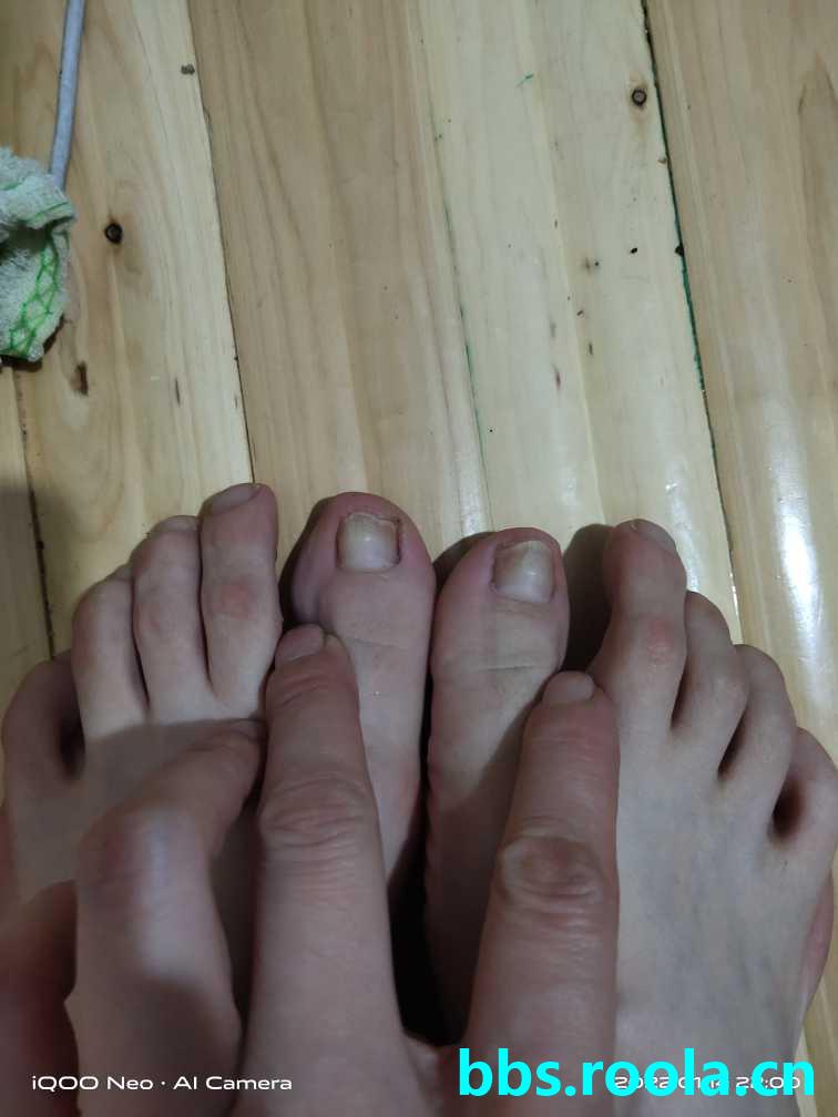 9266.jpg