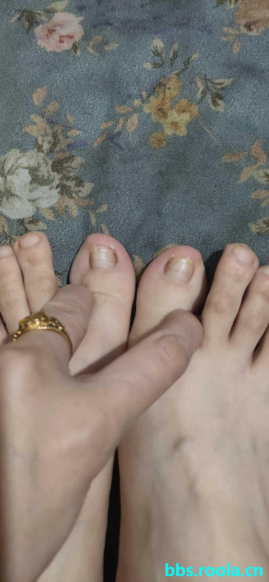 9262.jpg