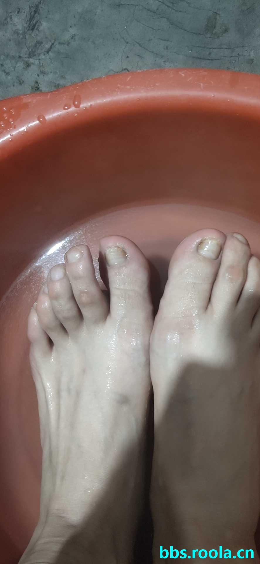 9263.jpg