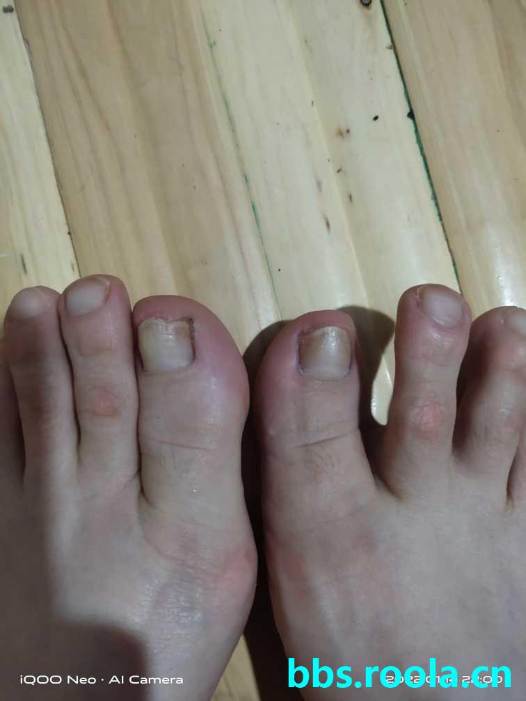 9264.jpg