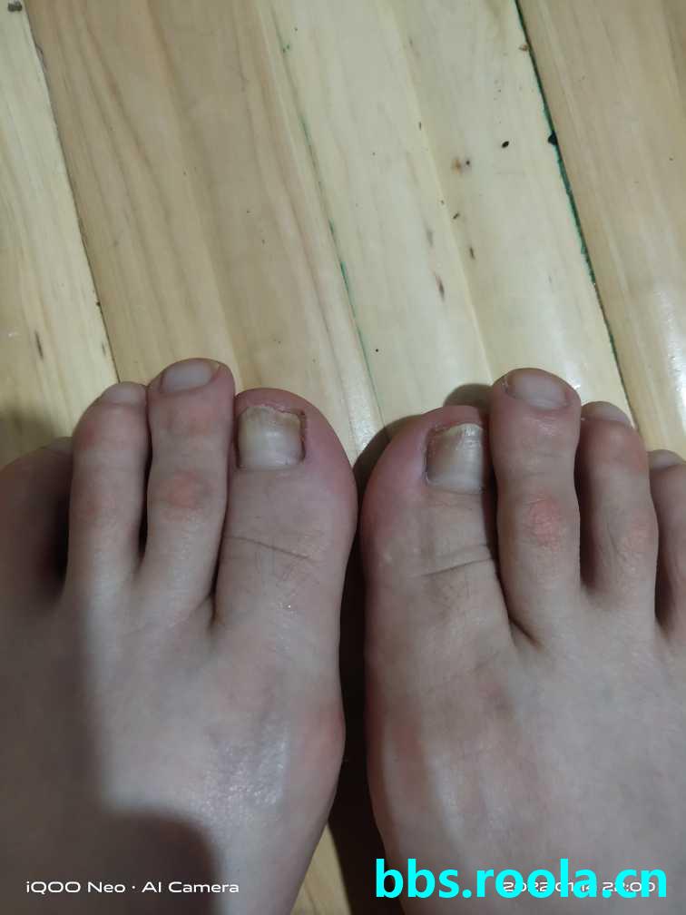 9265.jpg