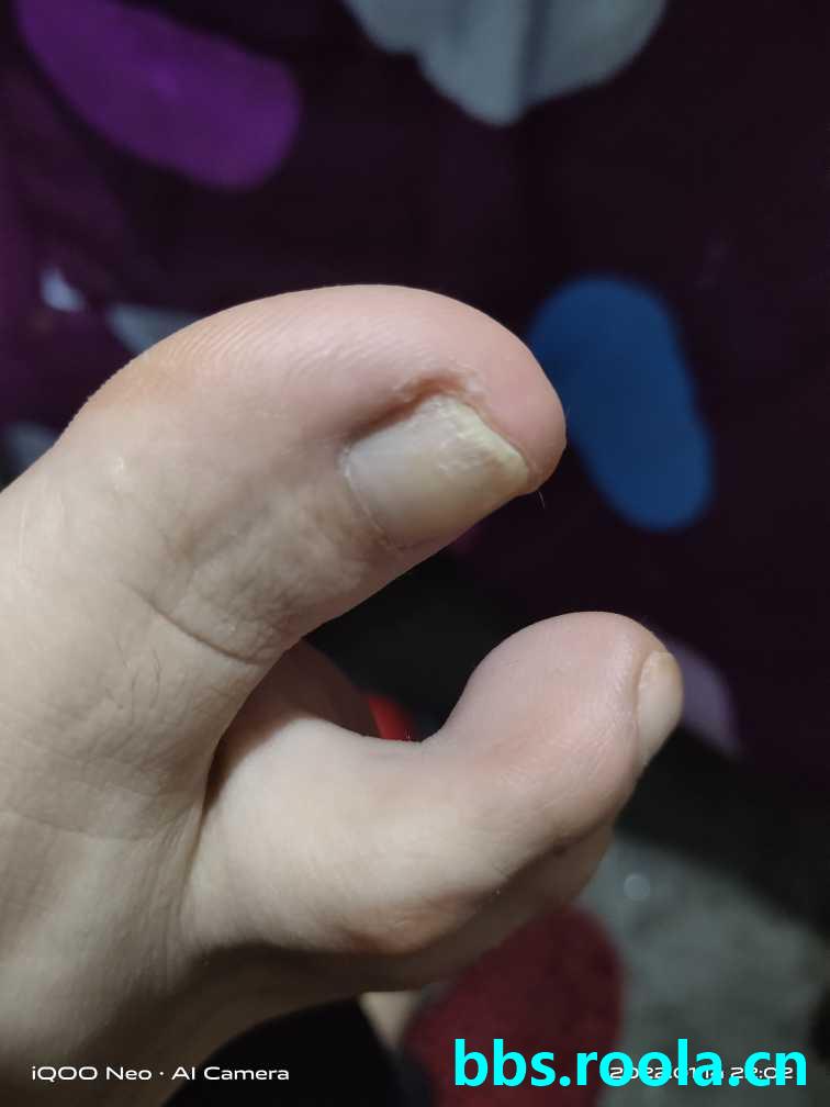 9267.jpg