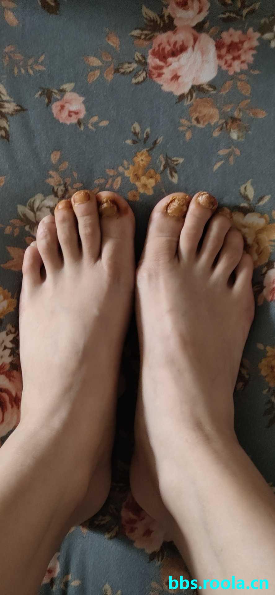 9270.jpg