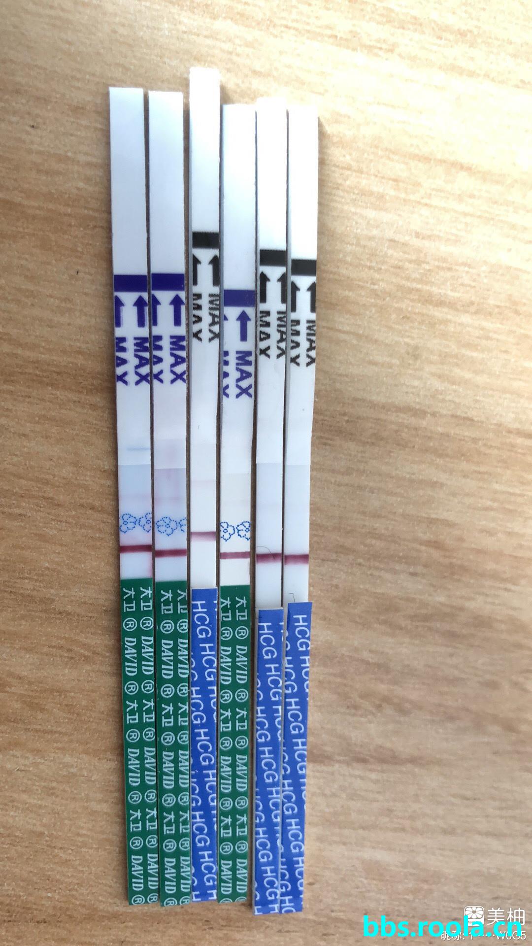 9421.jpg