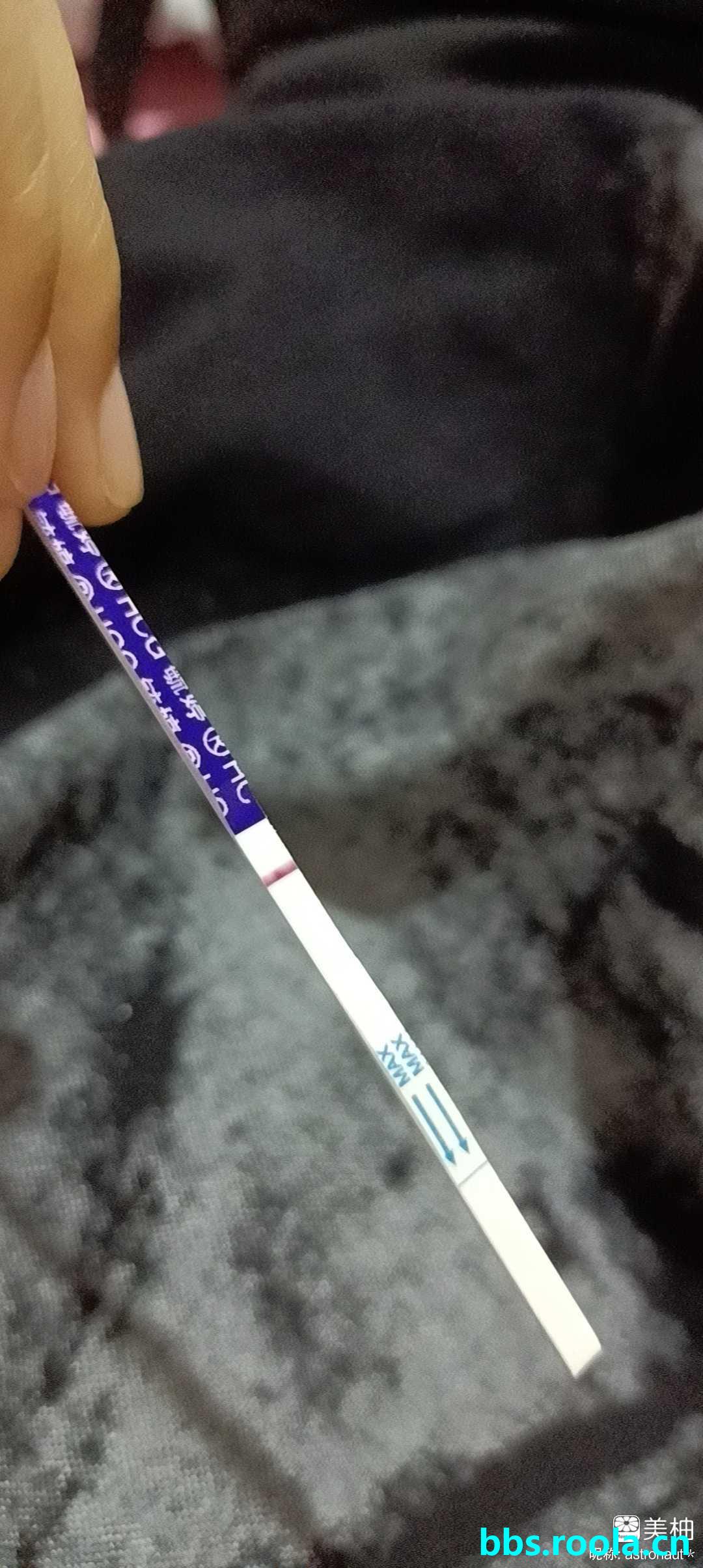 9630.jpg
