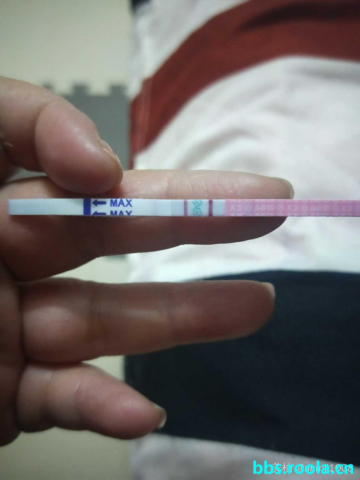 646.jpg