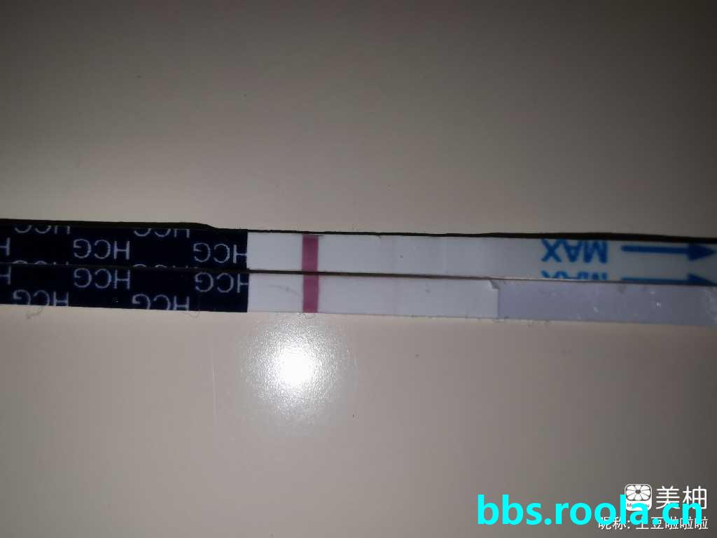 895.jpg