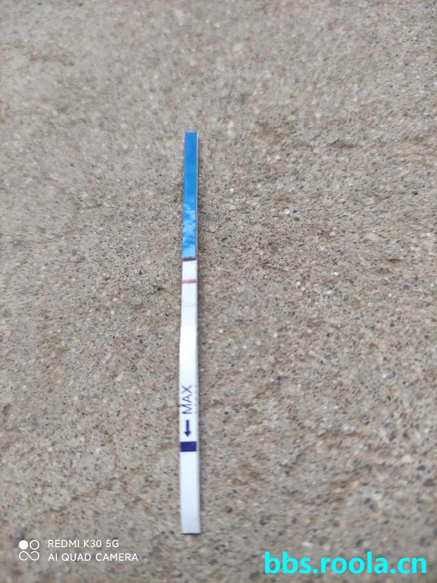 950.jpg