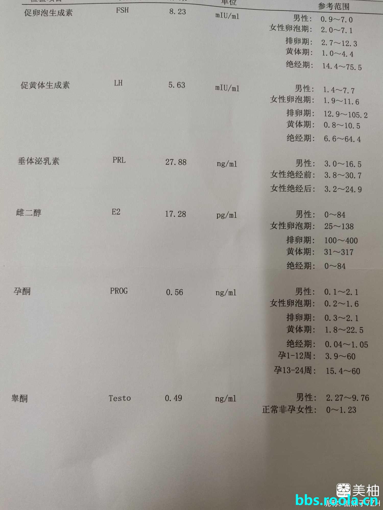 958.jpg