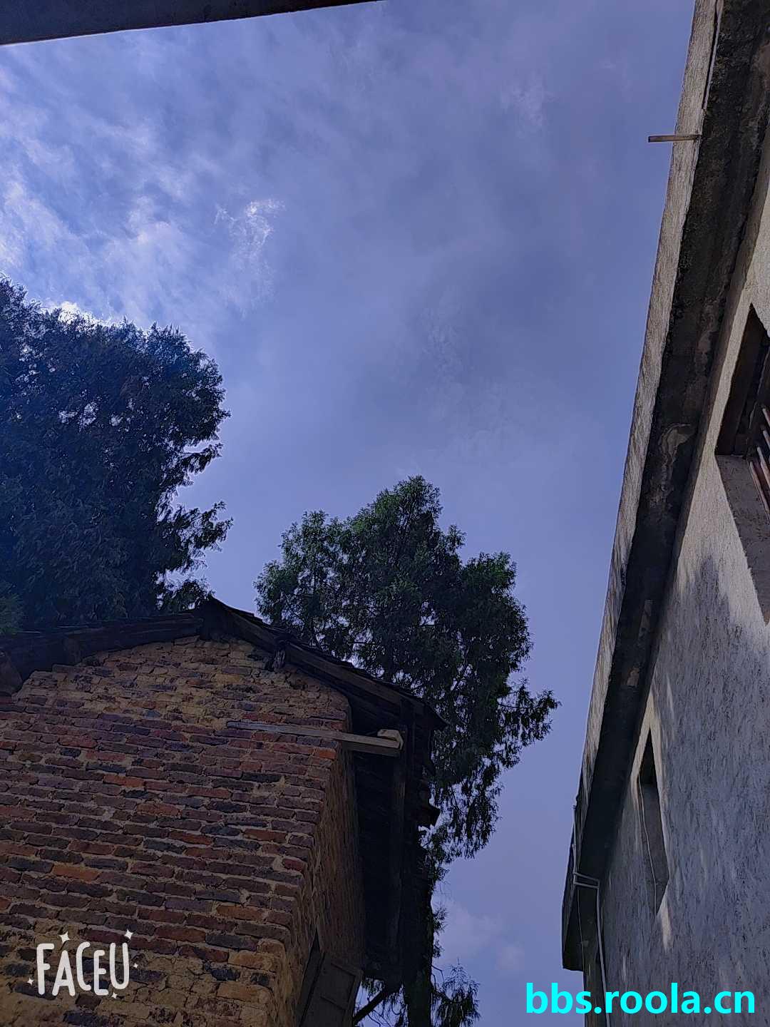 1276.jpg