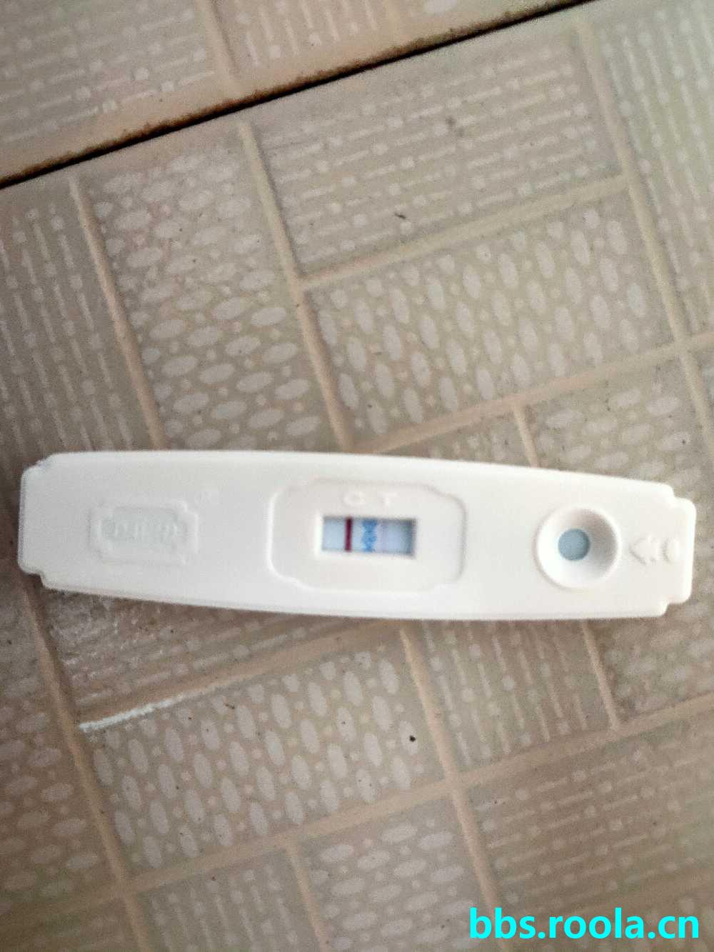 2757.jpg