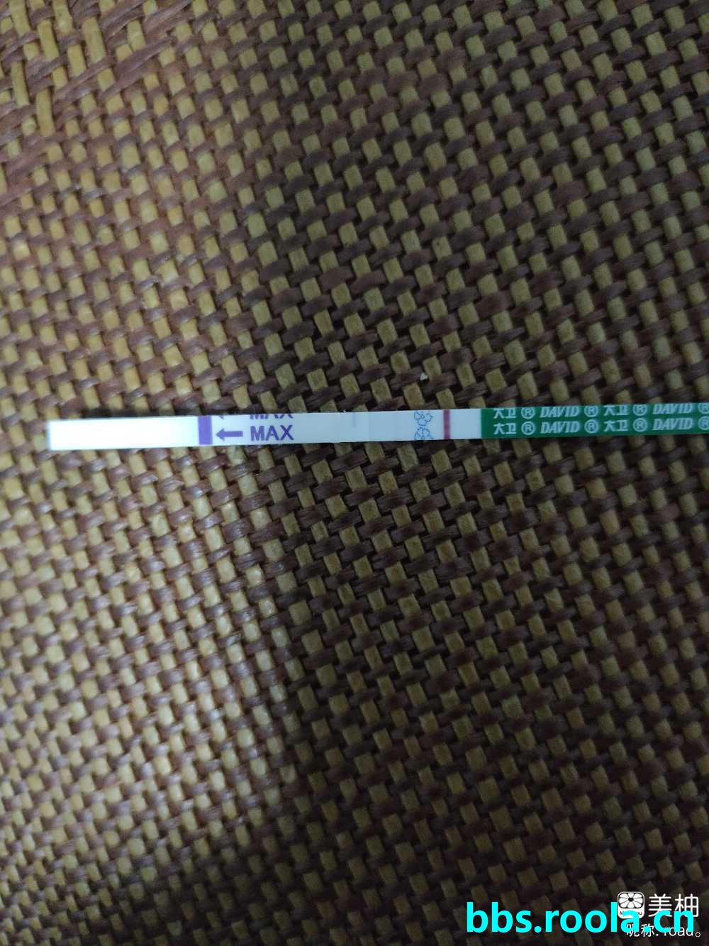 3040.jpg