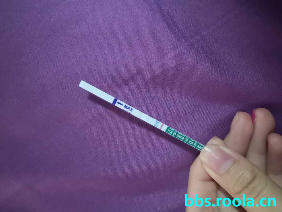 4355.jpg