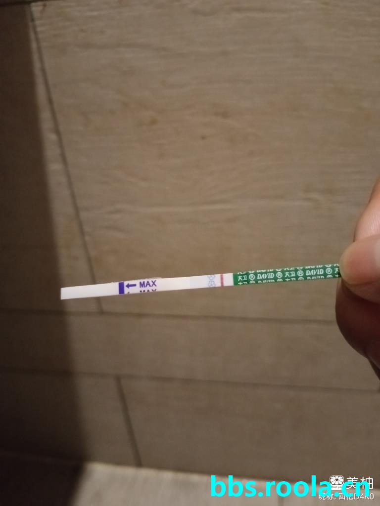 3775.jpg