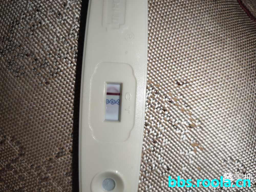 4004.jpg